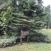 Review photo of Cascade River State Park Campground by Allison  K., August 28, 2019