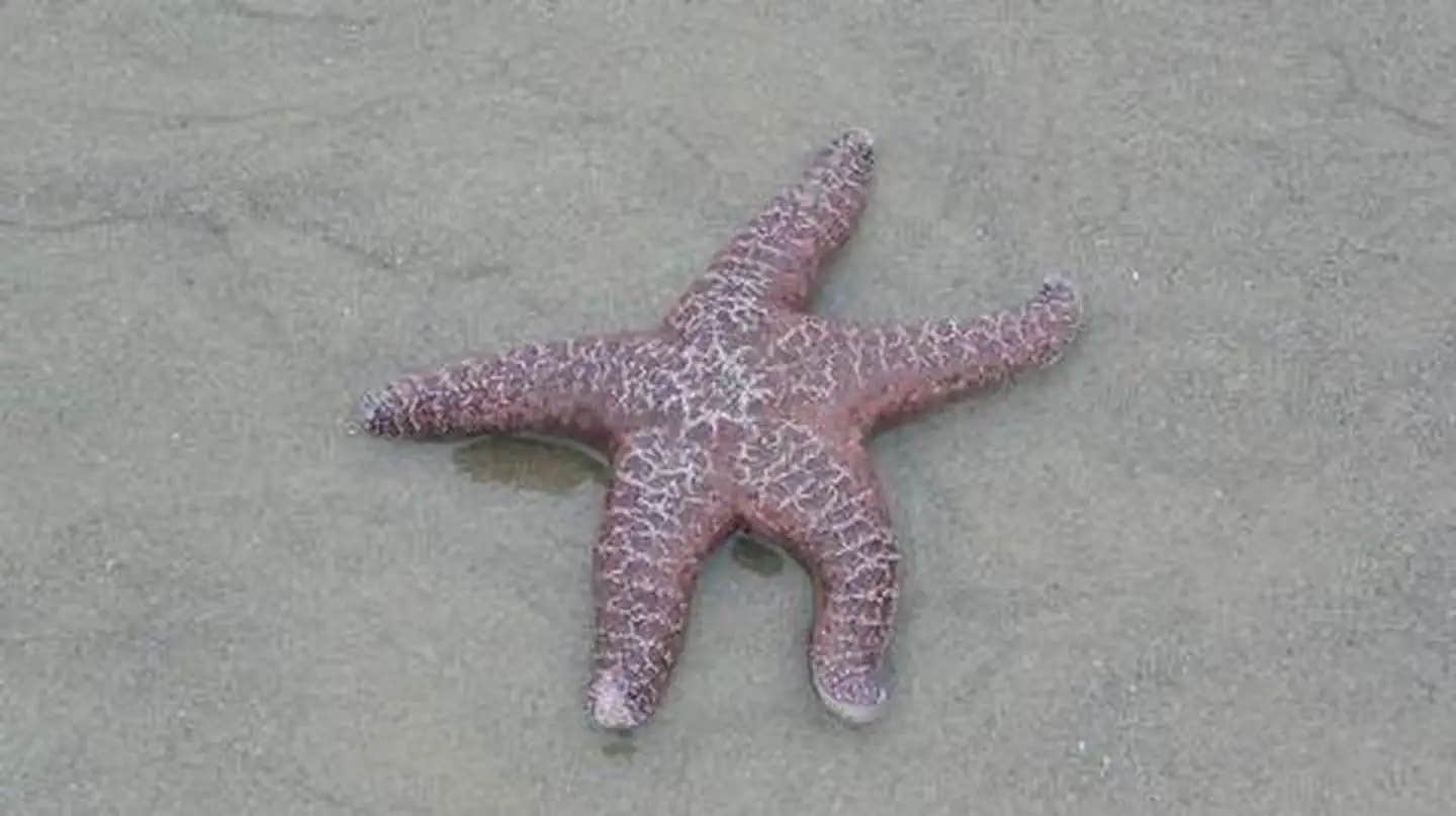 Camper submitted image from Tillicum Beach Campground - 1