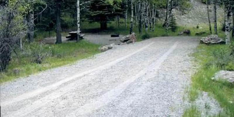 Camper submitted image from River Hill