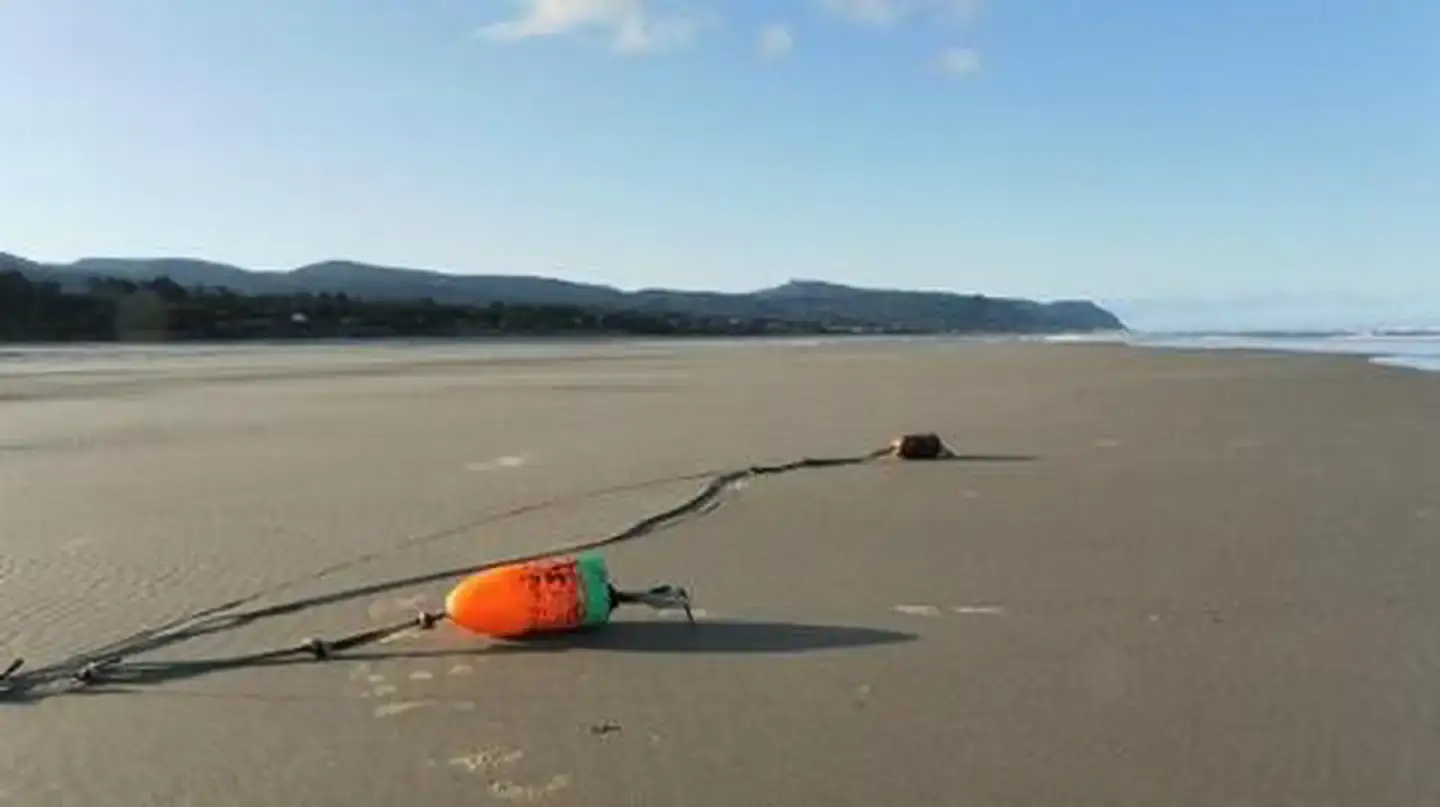 Camper-submitted photo at Tillicum Beach Campground near Blodgett, OR