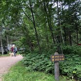 Review photo of Cascade River State Park Campground by Allison  K., August 28, 2019