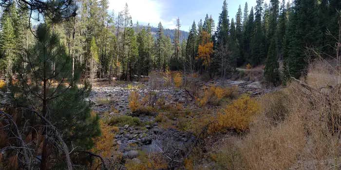 Camper submitted image from Ahart Campground