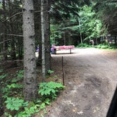 Review photo of Cascade River State Park Campground by Allison  K., August 28, 2019