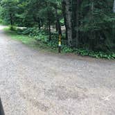 Review photo of Cascade River State Park Campground by Allison  K., August 28, 2019