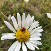 Review photo of Cascade River State Park Campground by Allison  K., August 28, 2019