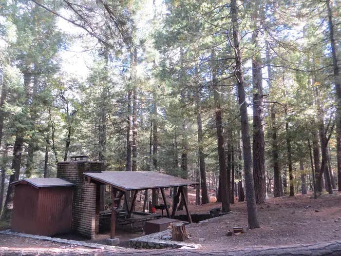 Camper submitted image from Showers Point Group Site - 1