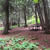 Review photo of Cascade River State Park Campground by Allison  K., August 28, 2019