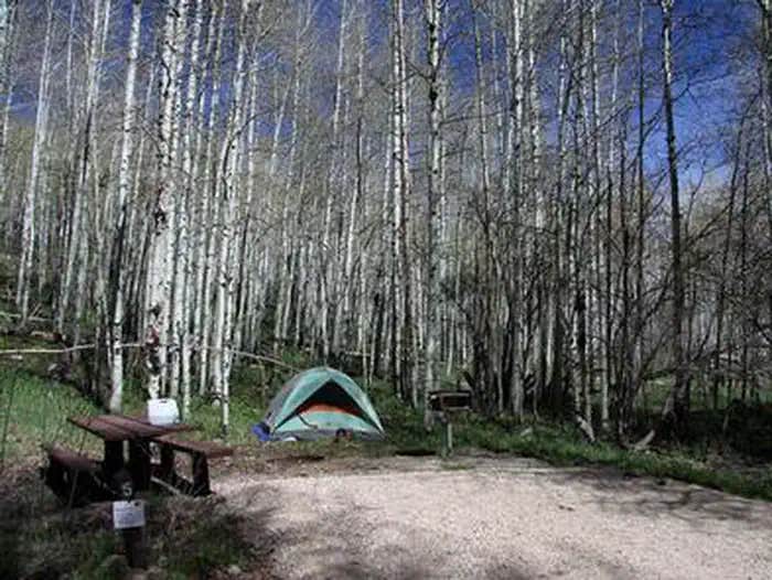 Camper submitted image from Manti-LaSal National Forest Buckboard Campground - 1