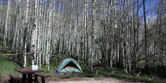Camper submitted image from Manti-LaSal National Forest Buckboard Campground
