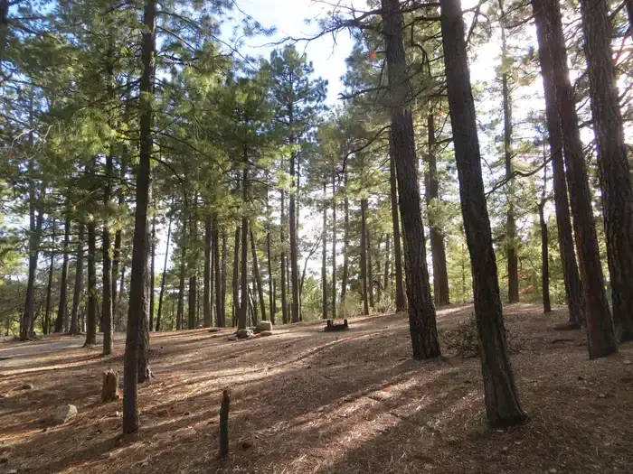 Camper-submitted photo at Showers Point Group Site near Oro Valley, AZ