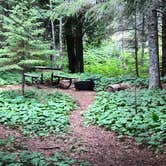 Review photo of Cascade River State Park Campground by Allison  K., August 28, 2019