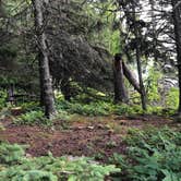 Review photo of Cascade River State Park Campground by Allison  K., August 28, 2019