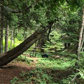 Review photo of Cascade River State Park Campground by Allison  K., August 28, 2019