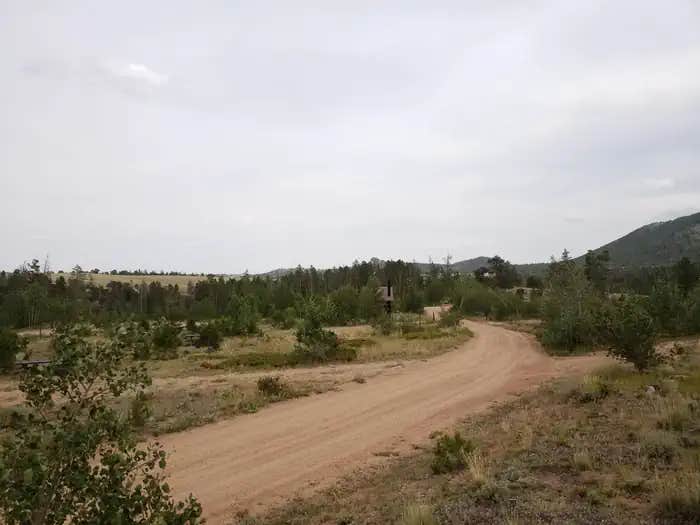 Camper submitted image from Yellow Pine Campground (Wy) - 1