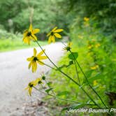 Review photo of Cabwaylingo State Forest by Jennifer B., August 28, 2019