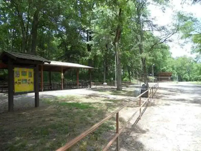 Camper-submitted photo at Cossatot Reefs - Gillham Lake near Gillham Lake