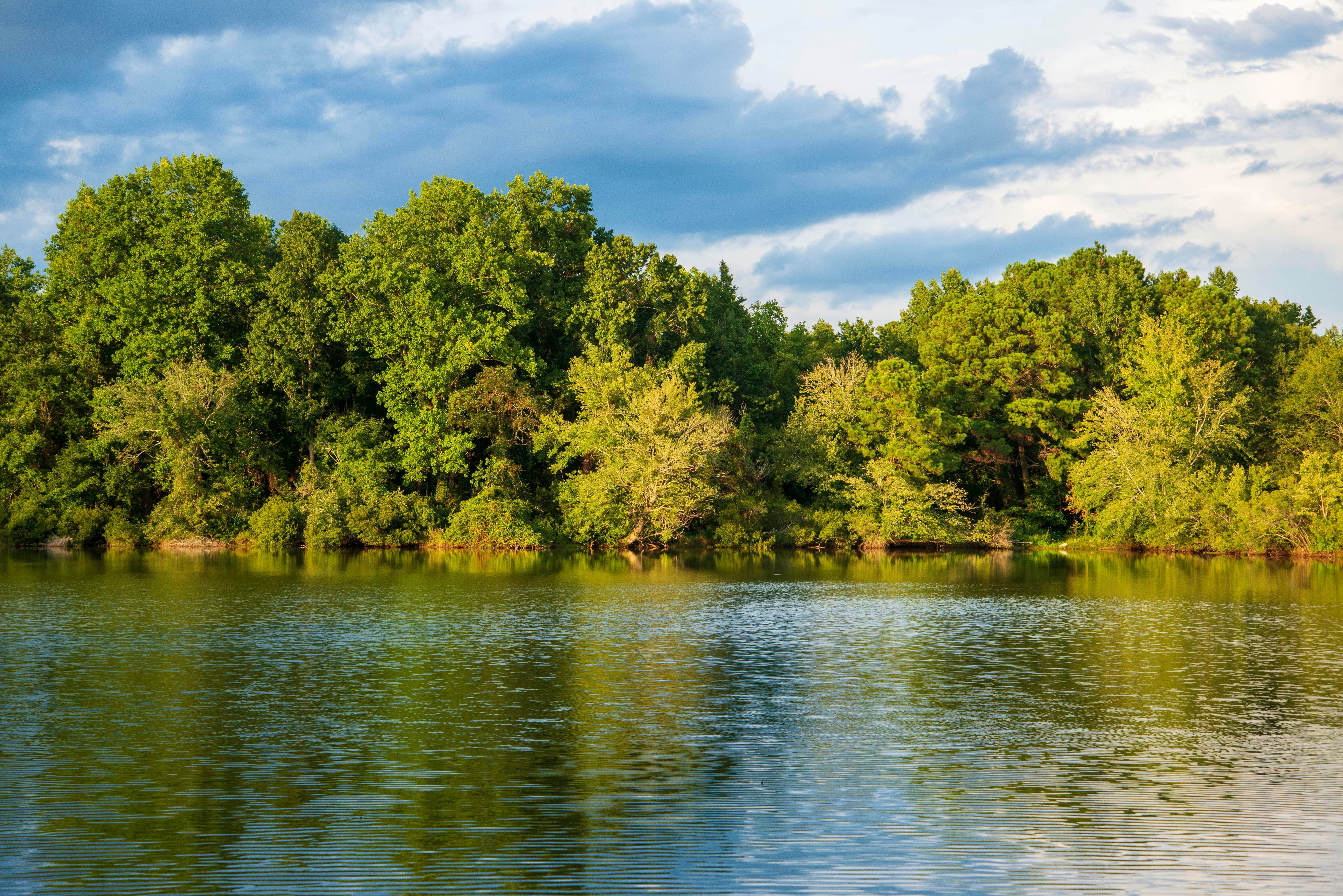 Camper submitted image from Bass Lake - 2