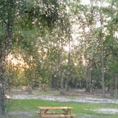 Review photo of Okefenokee Pastimes Cabins and Campground by Robert M., August 28, 2019