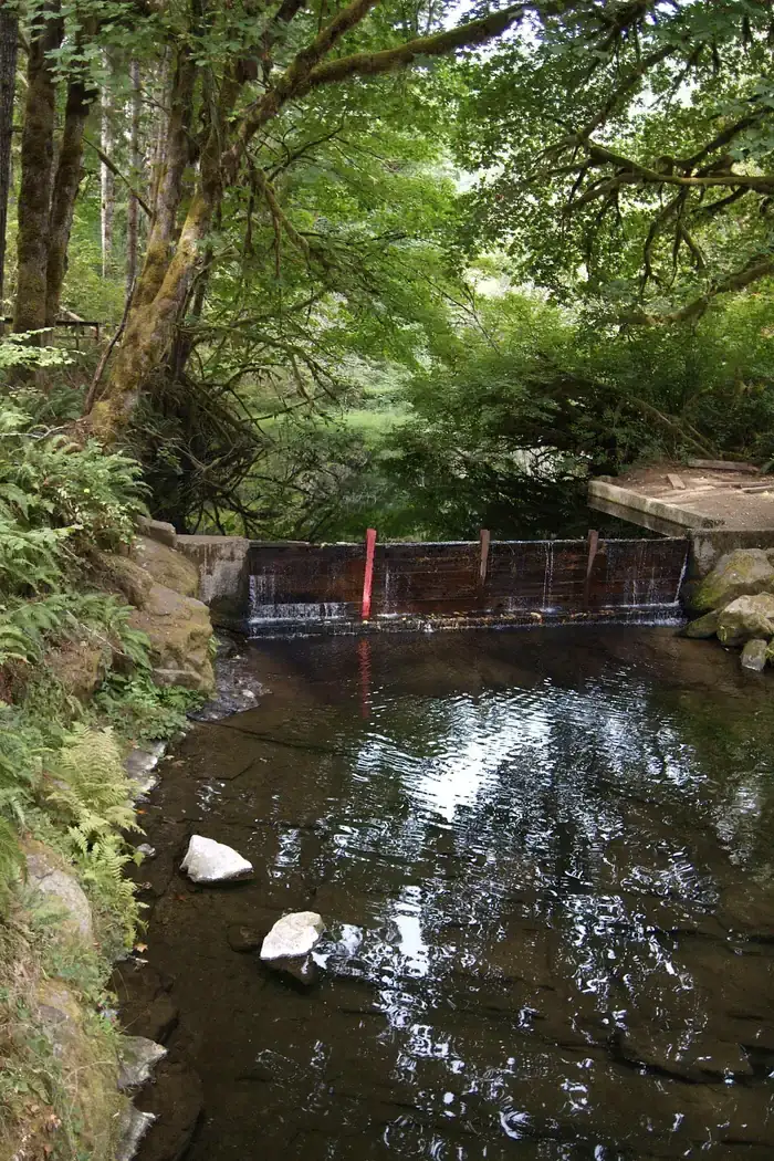Camper-submitted photo at Whittaker Creek Recreation Site near Veneta, OR