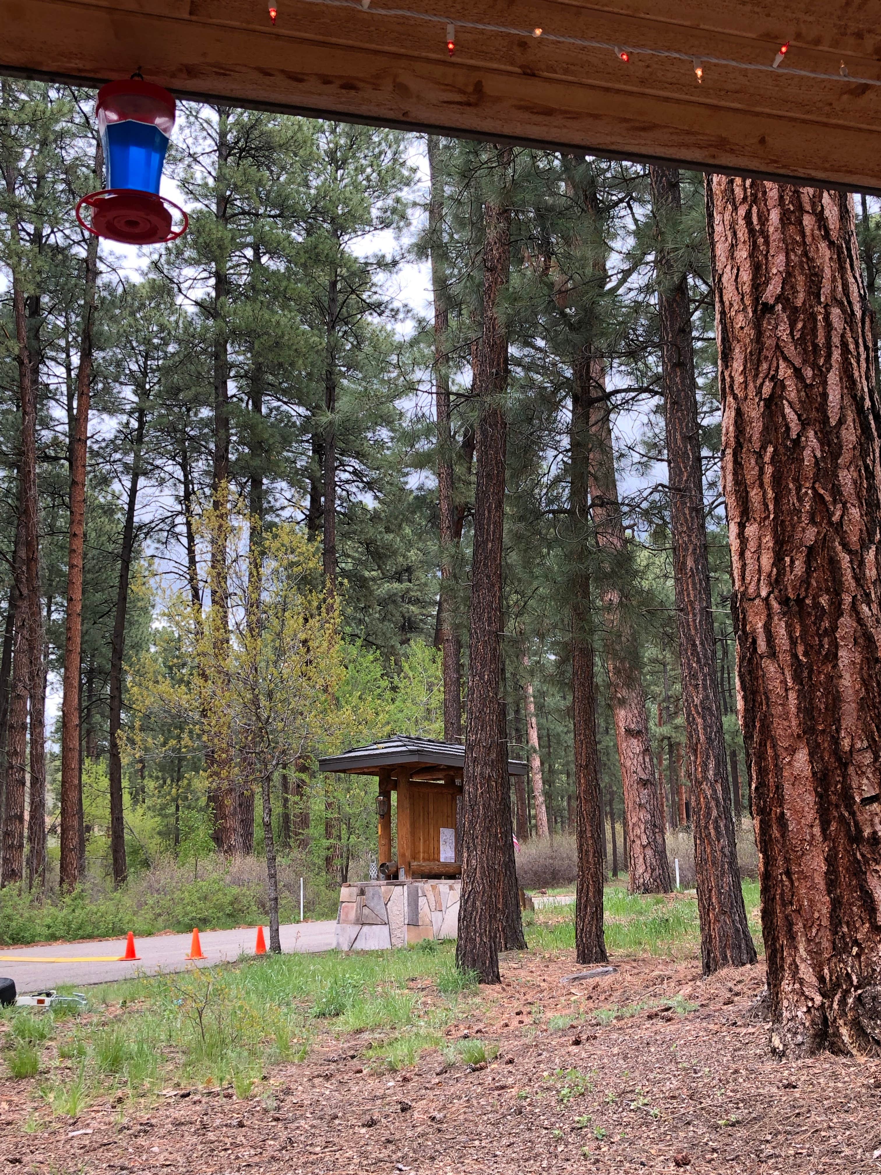 Camper submitted image from Paliza Campground - 5