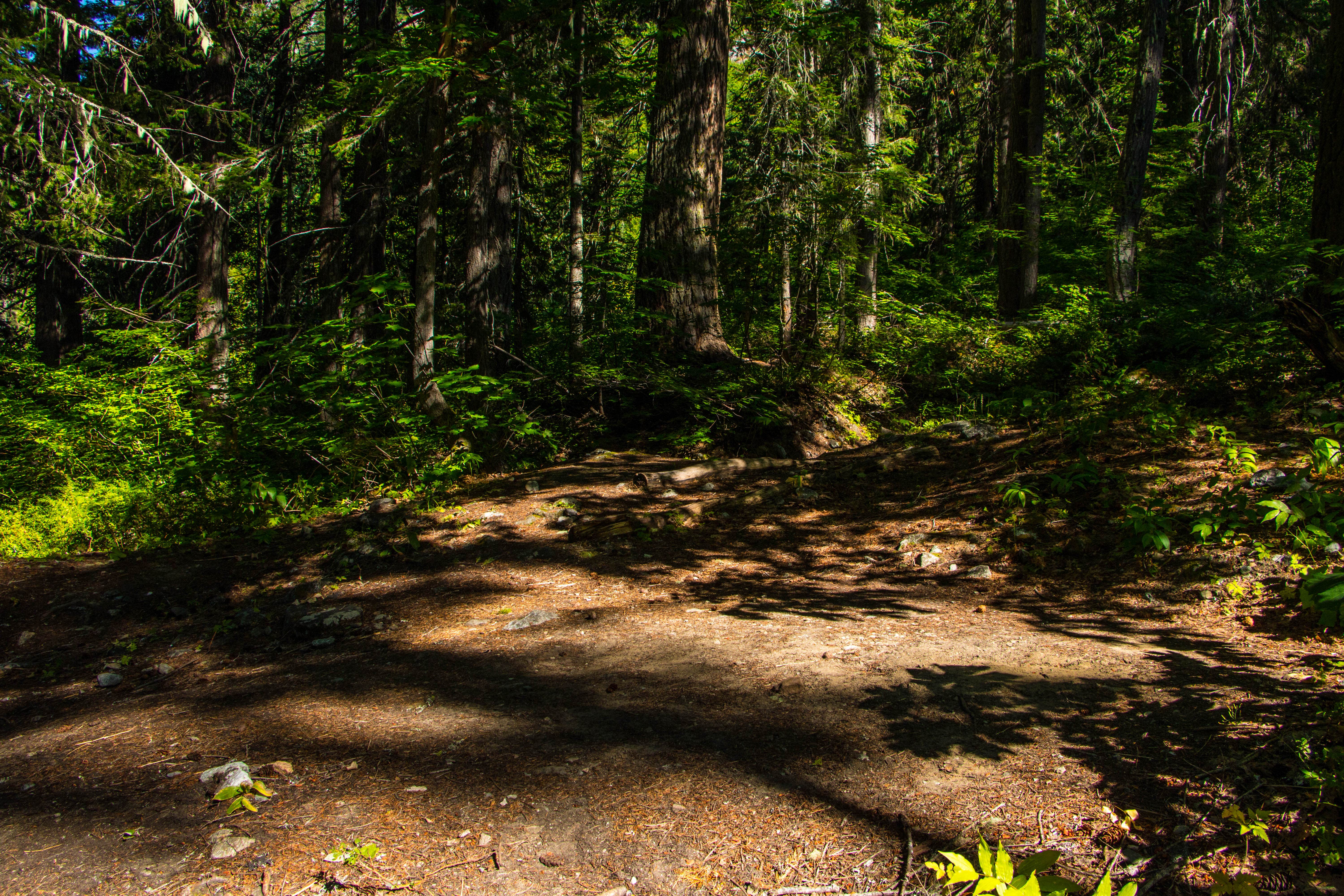 Camper-submitted photo at Cottonwood Camp — North Cascades National Park near North Cascades National Park