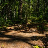 Review photo of Cottonwood Camp — North Cascades National Park by Shari  G., September 28, 2016