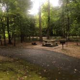 Review photo of Gee Creek Campground — Hiwassee/Ocoee Scenic River State Park by Lori H., August 29, 2019