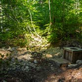 Review photo of Cottonwood Camp — North Cascades National Park by Shari  G., September 28, 2016