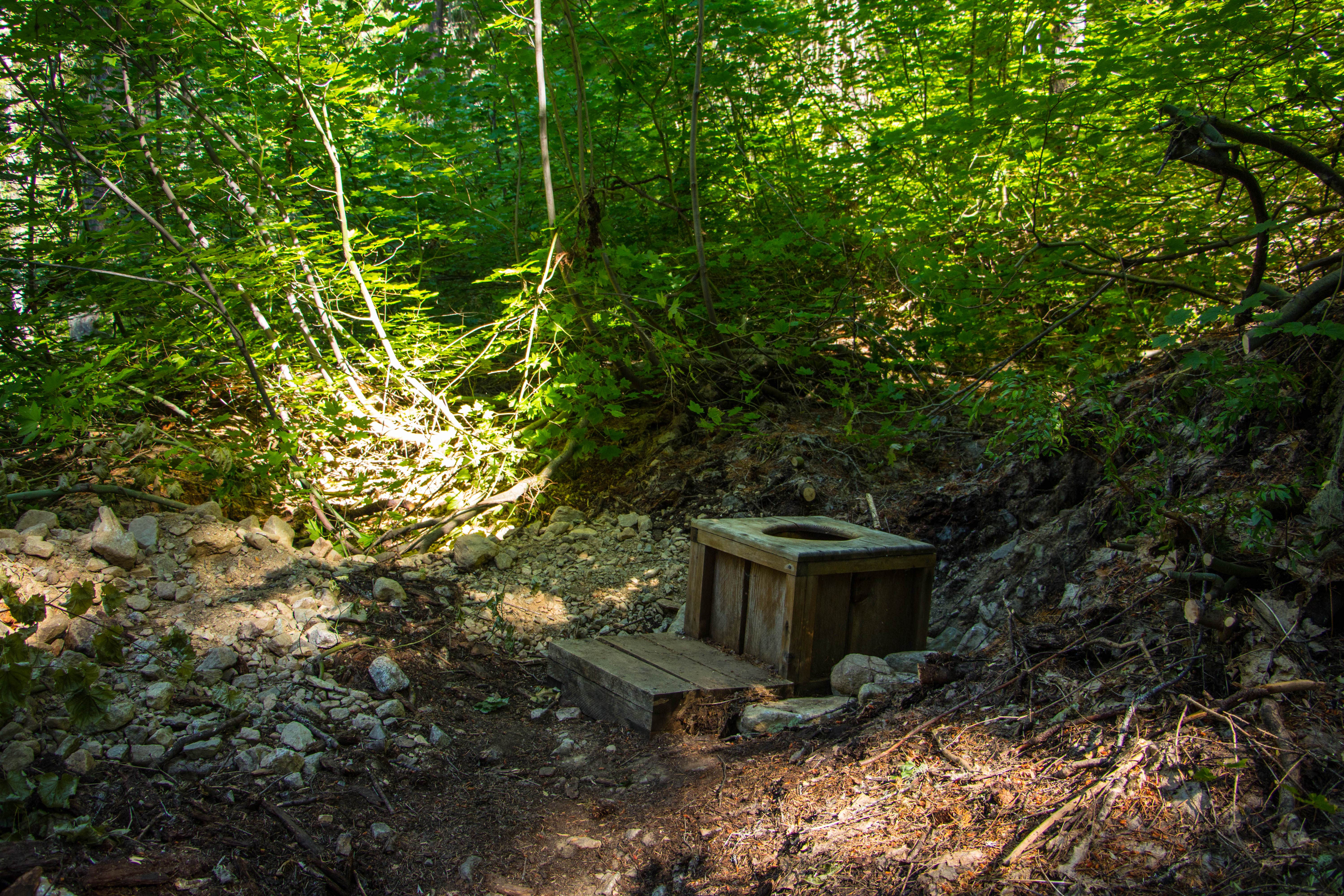Camper submitted image from Cottonwood Camp — North Cascades National Park - 2