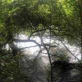 Review photo of Gee Creek Campground — Hiwassee/Ocoee Scenic River State Park by Lori H., August 29, 2019