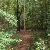 Review photo of Gee Creek Campground — Hiwassee/Ocoee Scenic River State Park by Lori H., August 29, 2019