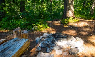 Camping near Cosho Camp — North Cascades National Park: Cottonwood Camp — North Cascades National Park, North Cascades National Park, Washington