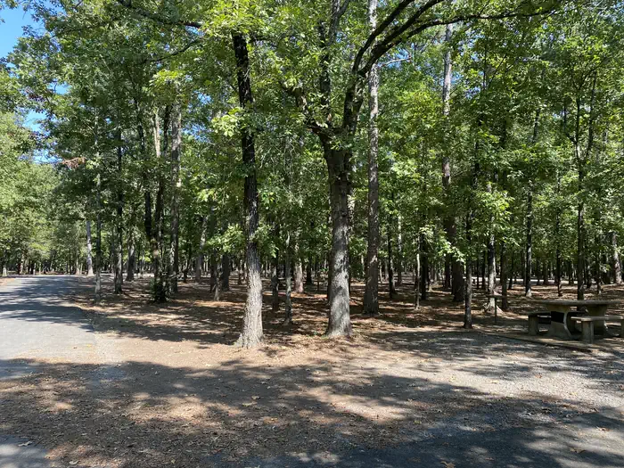 Camping near Choctaw: Sugar Loaf, Higden, Arkansas