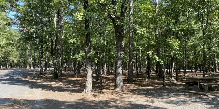 Camper submitted image from Sugar Loaf