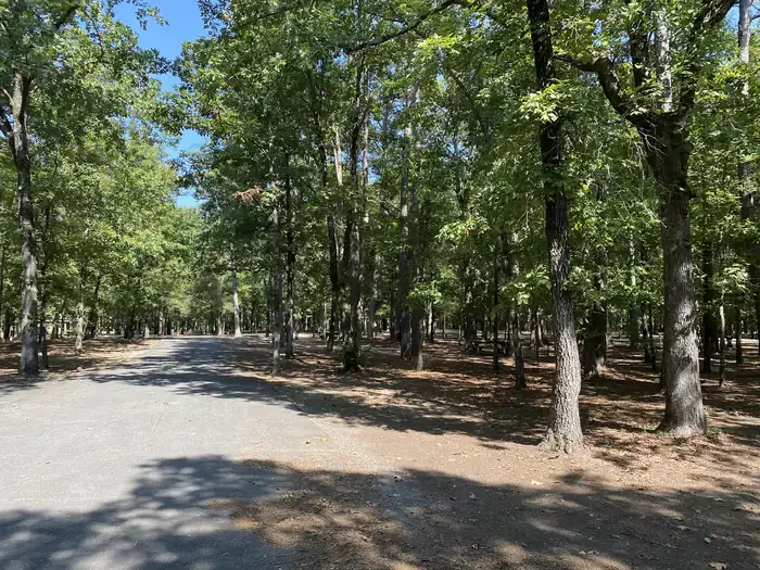 Camper-submitted photo at Sugar Loaf near Greers Ferry Lake