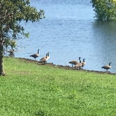 Review photo of Rolling Hills Park by Crystal C., August 29, 2019
