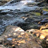 Review photo of Buckhorn Campground Loop C — Chickasaw National Recreation Area by Shea M., August 29, 2019