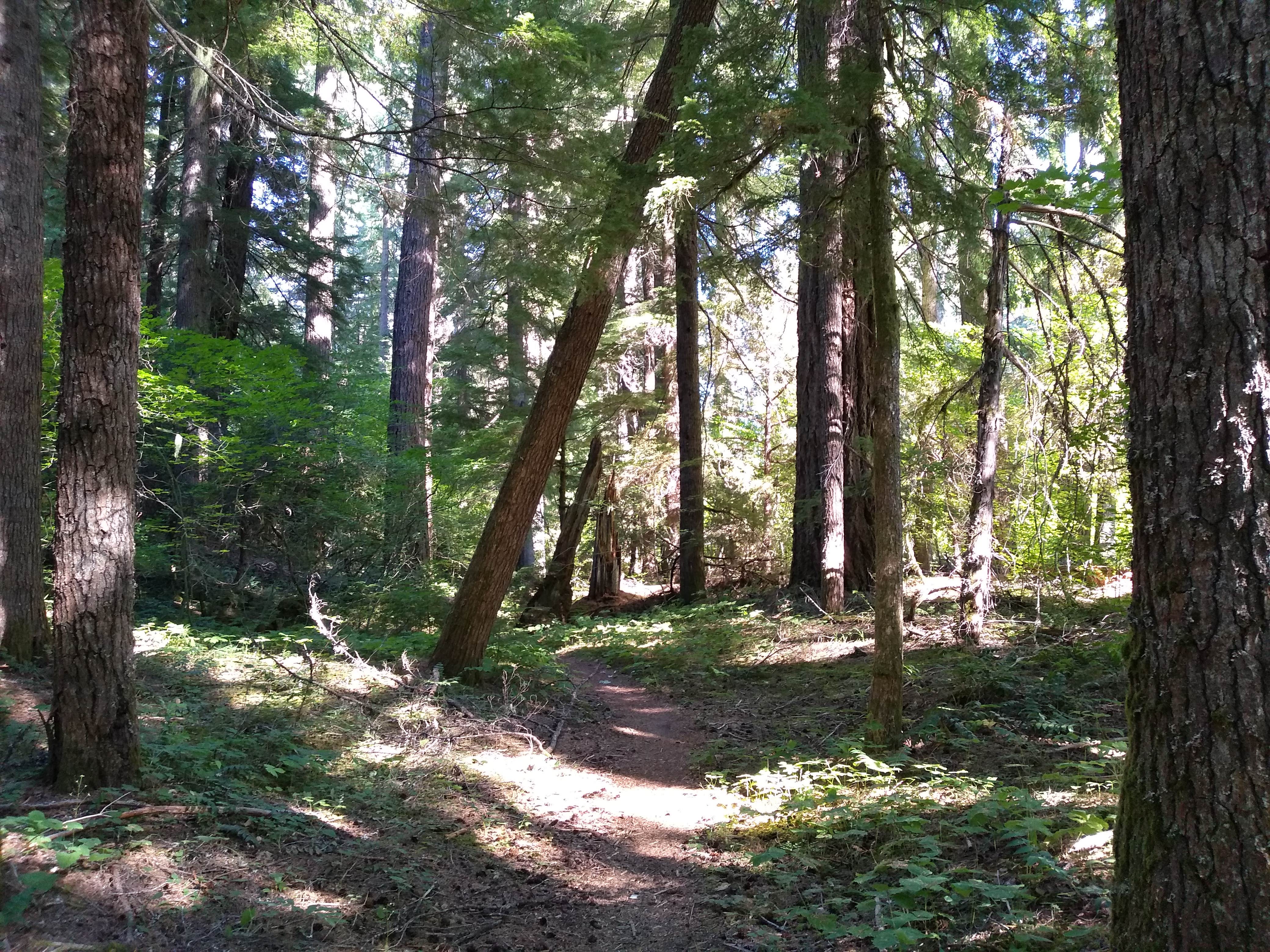 Oregon River Bridge Campground: Your Gateway to Wilderness Bliss