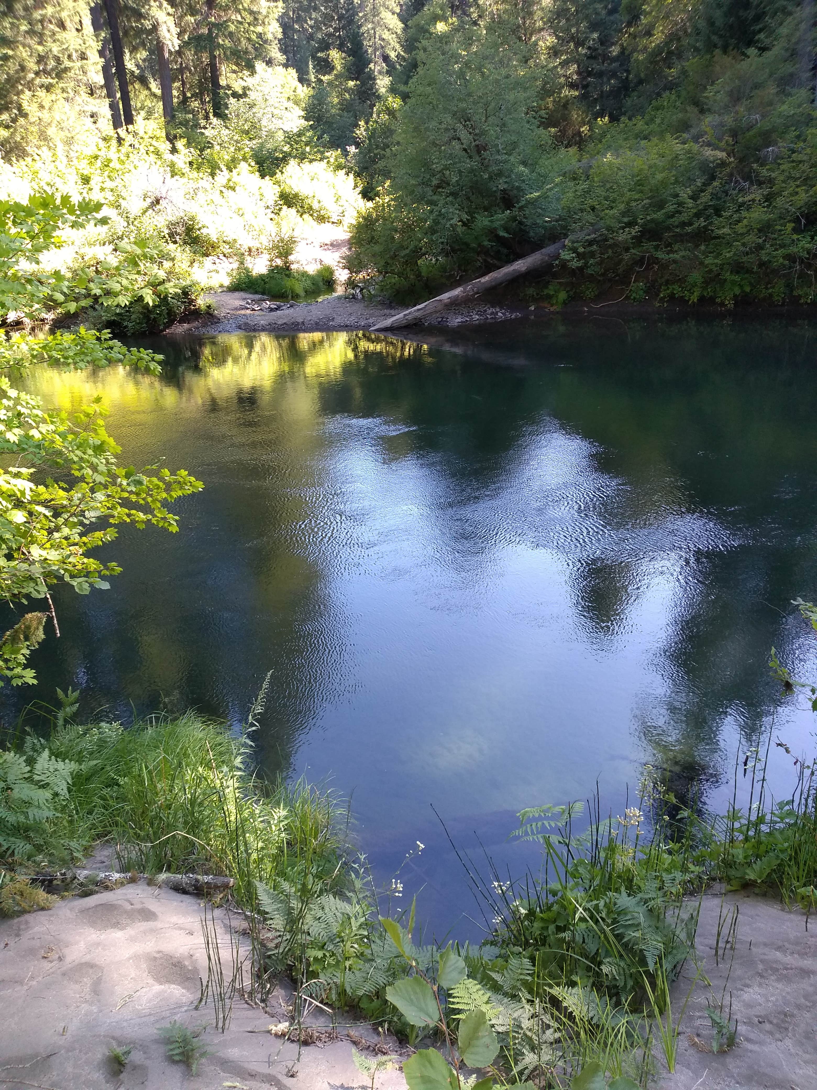 Camper submitted image from River Bridge Campground - 4