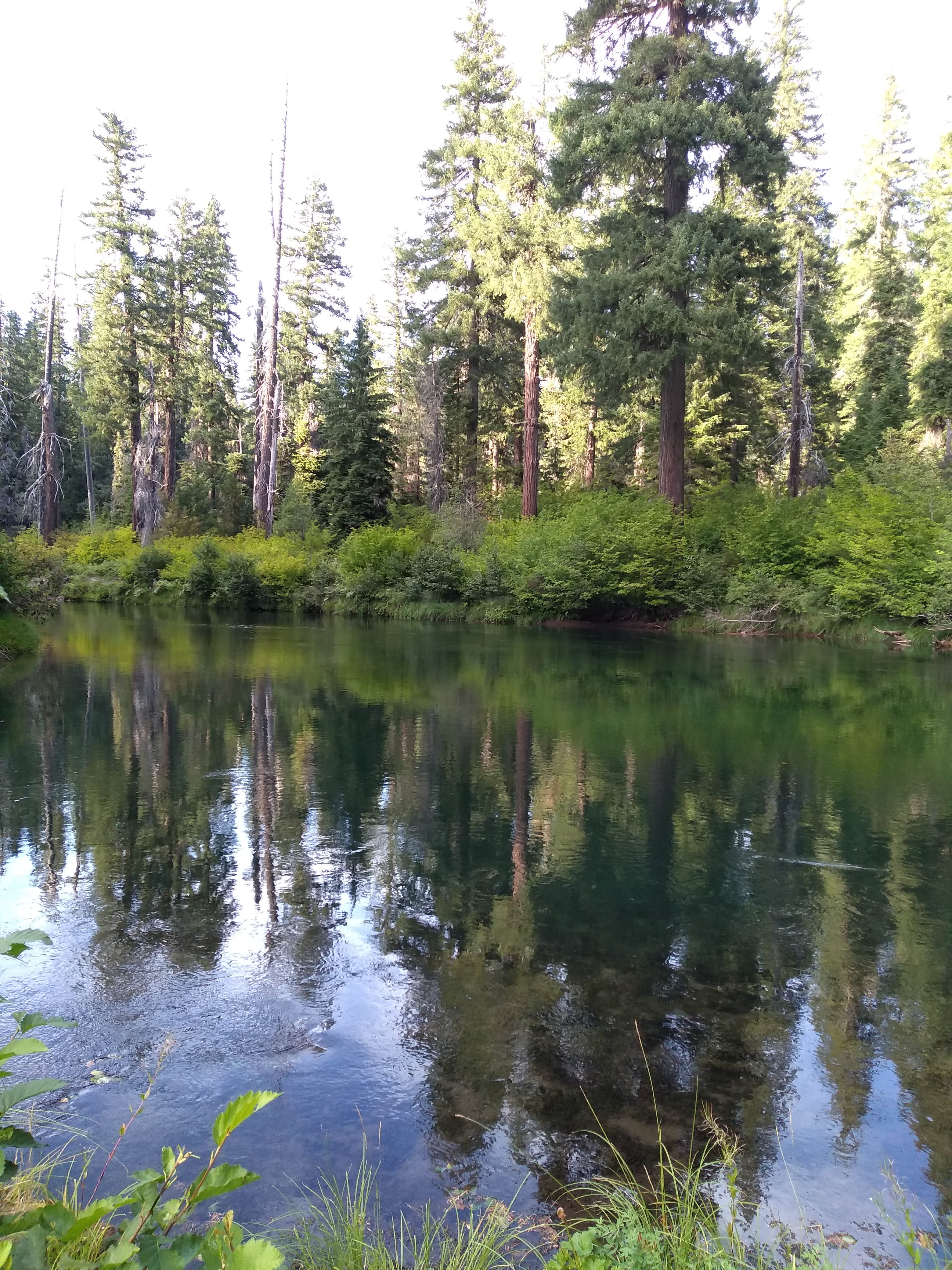 Rogue River up stream from campsite on trail