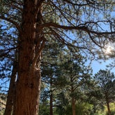 Review photo of Upper and Lower Ansel Watrous Campgrounds by Deven K., August 29, 2019