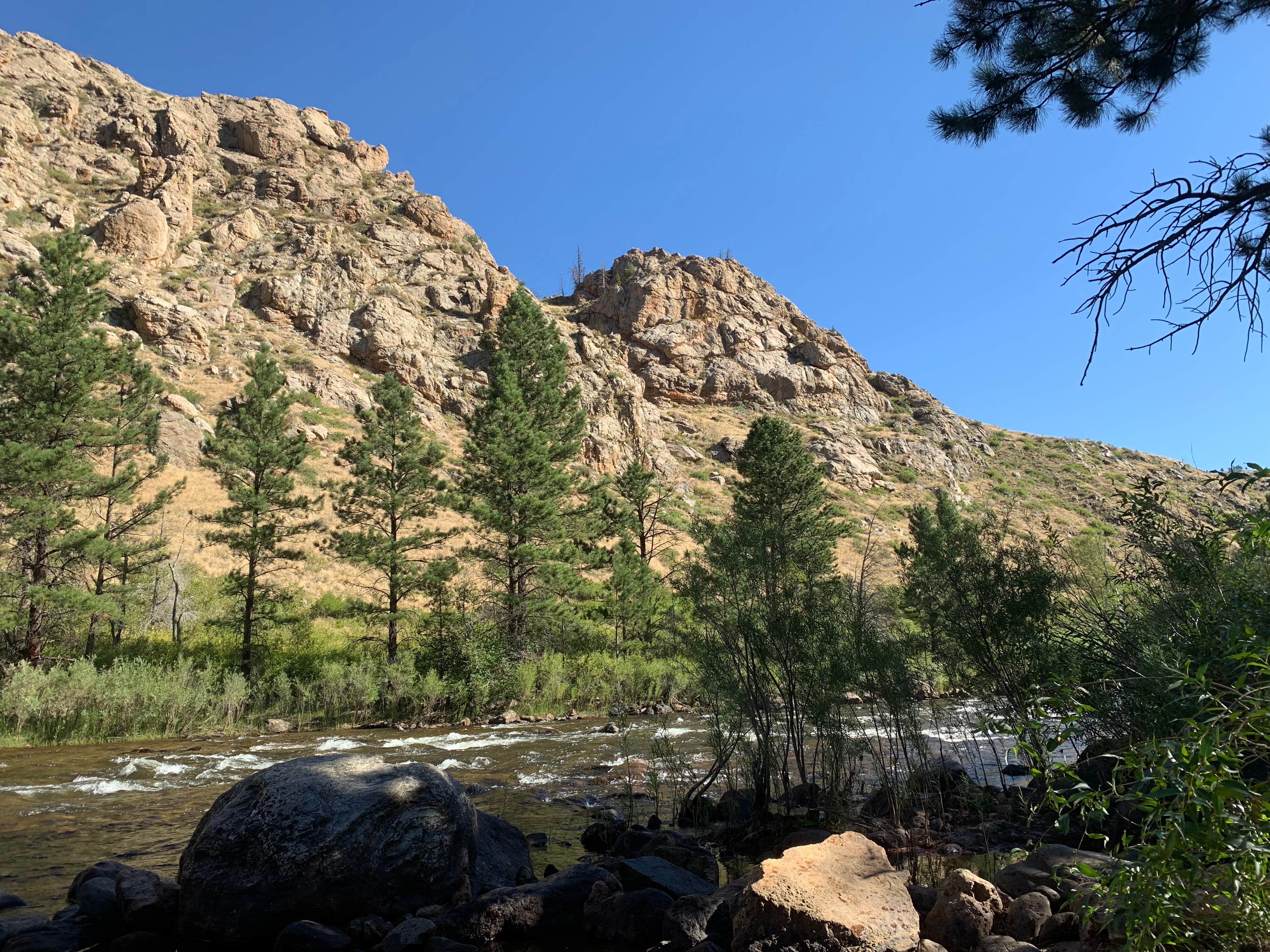 View All