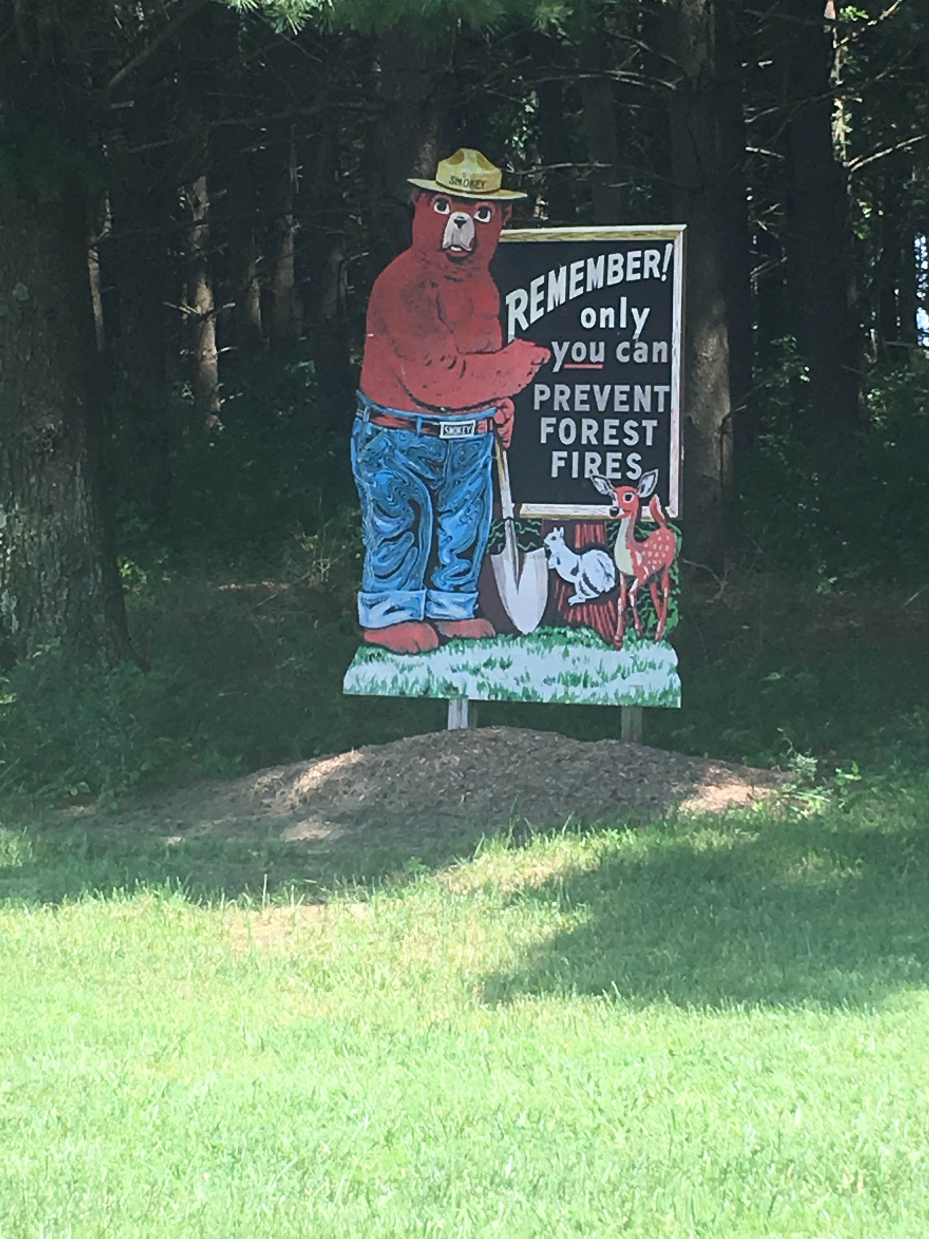 Camper-submitted photo at Possum Creek Campground — Hidden Springs State Forest near Neoga, IL
