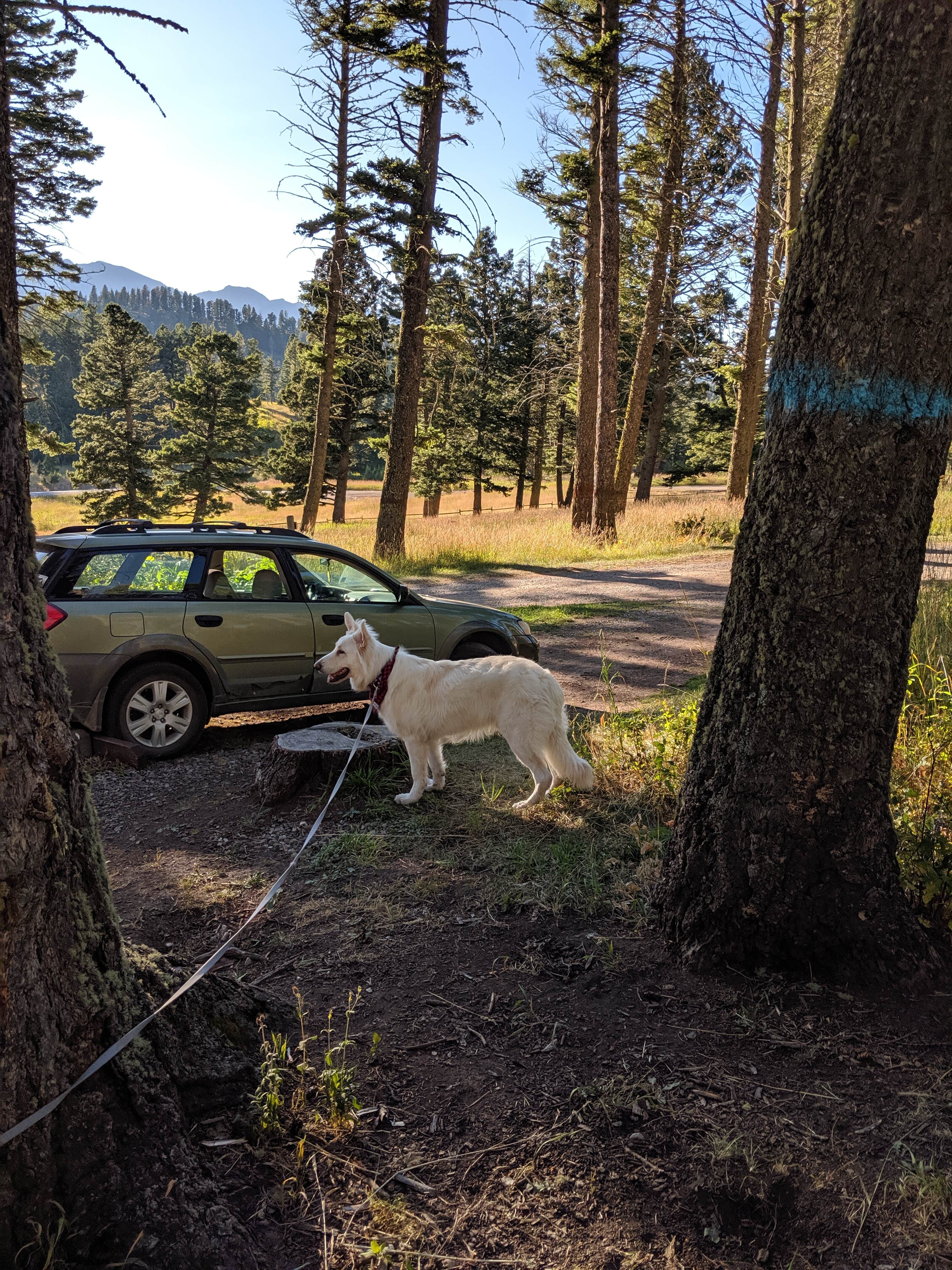 Battle Ridge Campground | Bozeman, MT