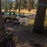 Review photo of Battle Ridge Campground by Annika W., August 29, 2019