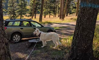 Annika W.'s photo of camping with pets at Battle Ridge Campground near Gallatin National Forest