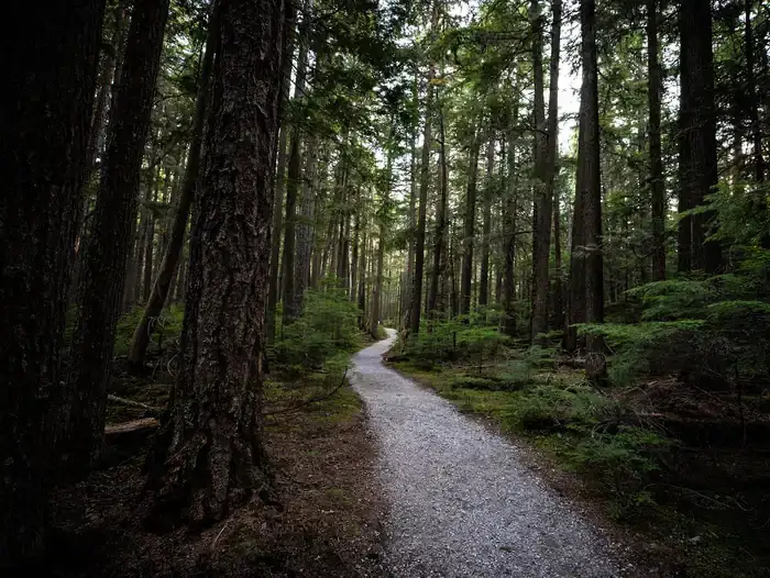 Camper-submitted photo at Apgar Group Sites — Glacier National Park near Glacier National Park