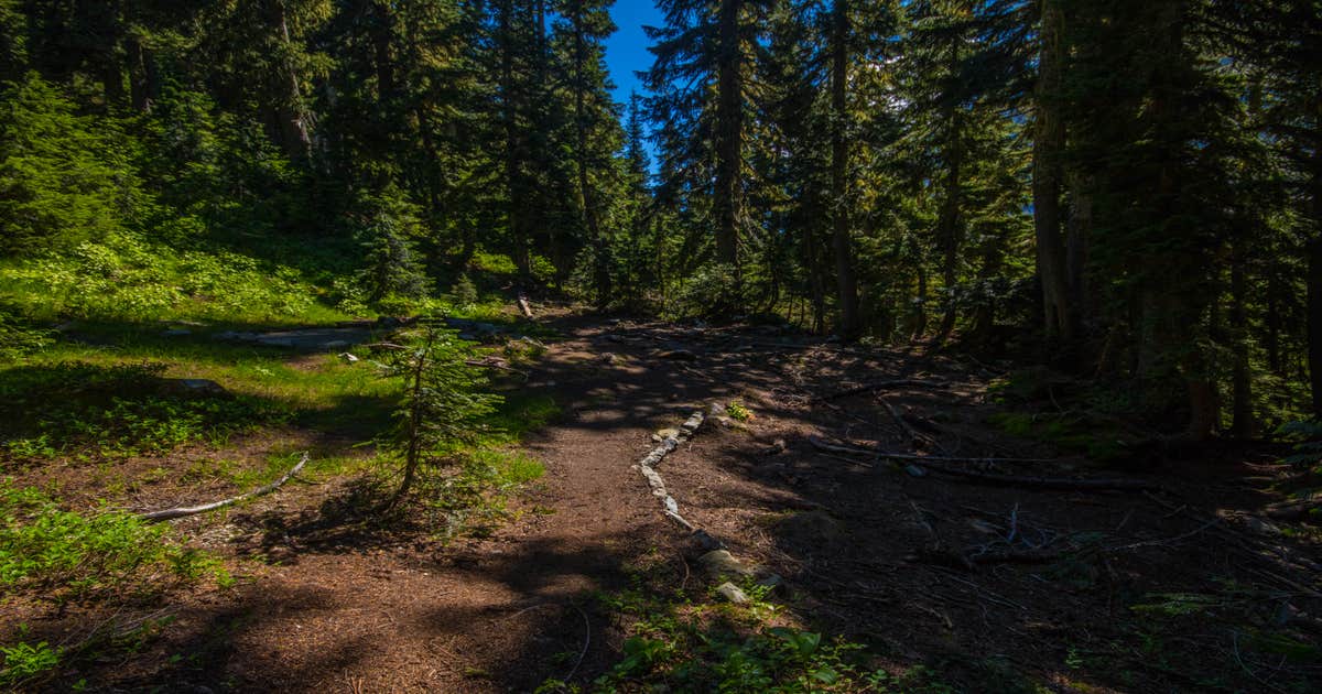 Pelton Basin — North Cascades National Park
