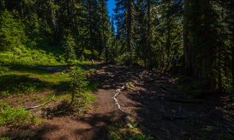 Camping near High Bridge — North Cascades National Park: Pelton Basin — North Cascades National Park, North Cascades National Park, Washington