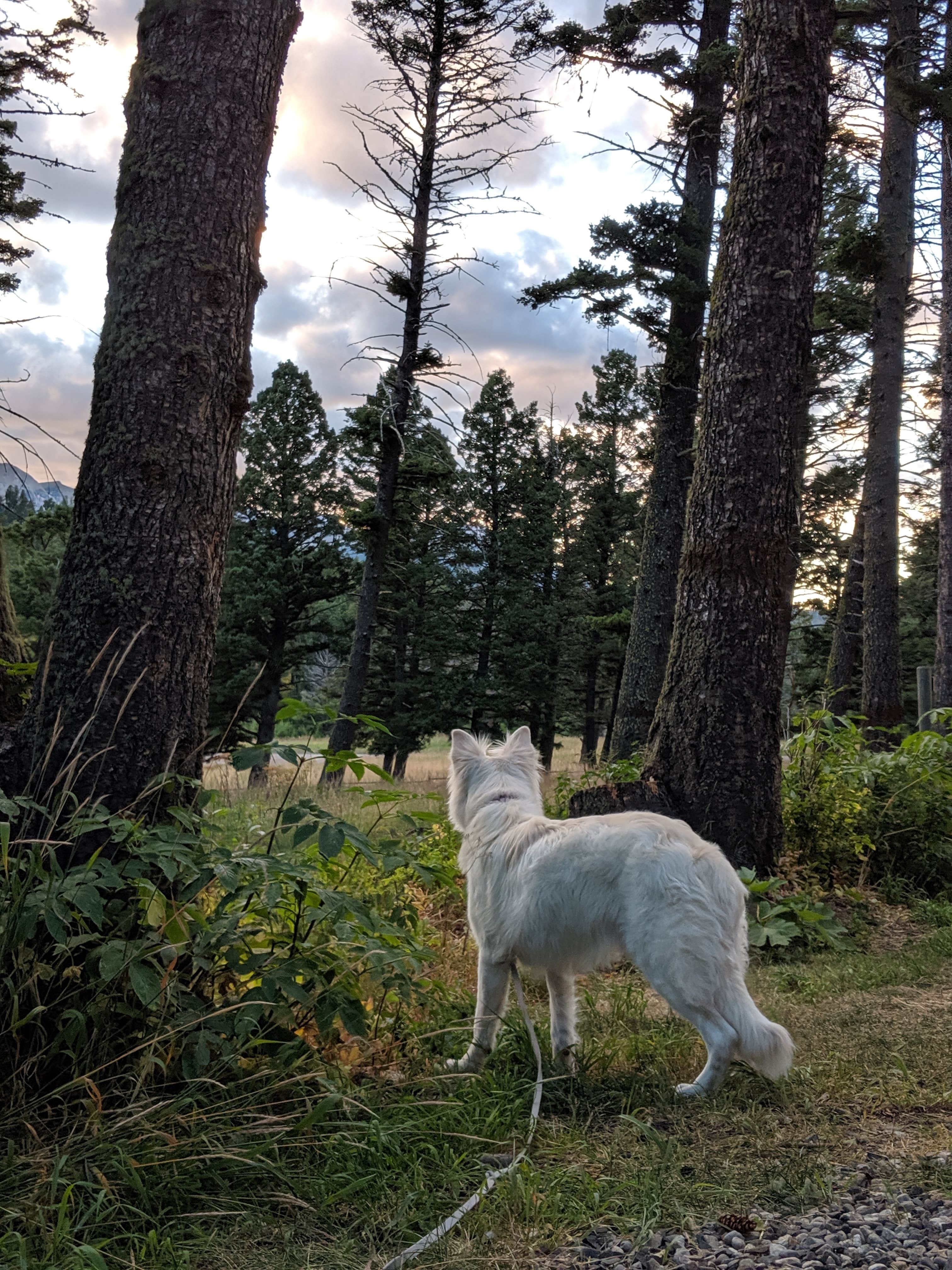 Camper submitted image from Battle Ridge Campground - 3